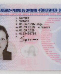 How to get Belgian driver’s License in 3 days