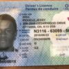 buy Canadian-dirvers-License online