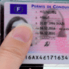 buy French-drivers-License online