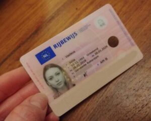 buy Netherlands-drivers-license online