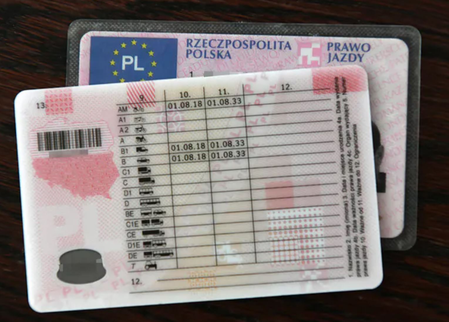 Polish-drivers-License-category.jpg