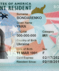 Buy Authentic American Green Card