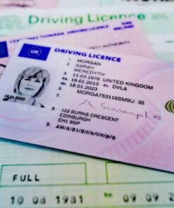 Buy Drivers License