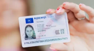 dutch license