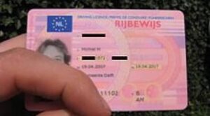 dutch license