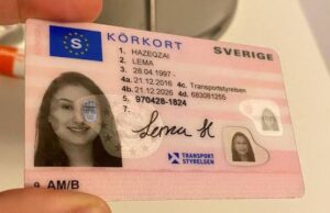 swedish license
